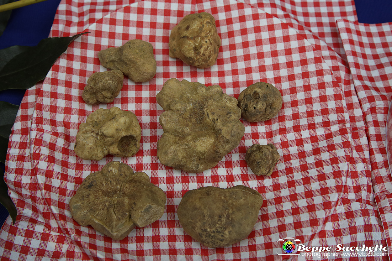 VBS_6939 - Fiera dei Santi - 12.ma Fiera Nazionale del Tartufo.jpg